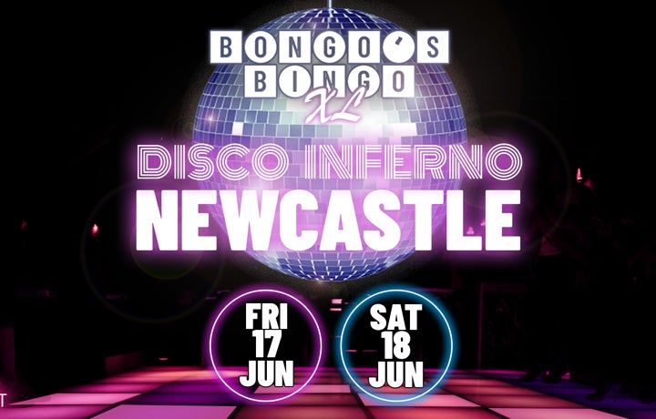 Bongos Bingo XL