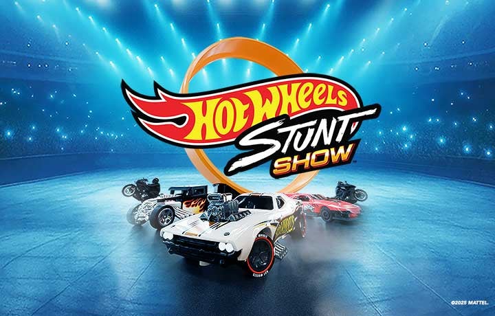Hot Wheels Stunt Show