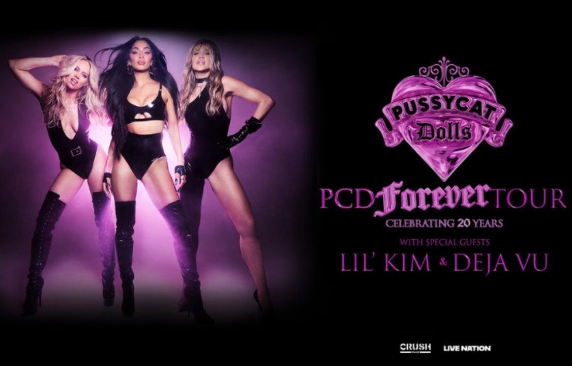 More Info for Pussycat Dolls 