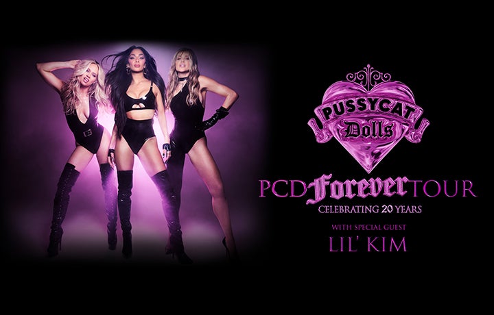 Pussycat Dolls 